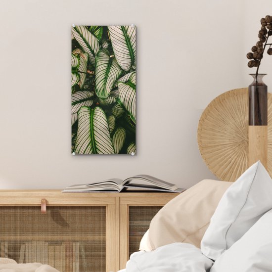 MuchoWow® Peinture sur verre 20x40 cm - Peinture acrylique sur verre - Feuilles - Plante - Vert - Photo sur verre - Peintures