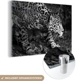 MuchoWow® Glasschilderij 90x60 cm - Schilderij acrylglas - Sluipende jaguar in bos - zwart wit - Foto op glas - Schilderijen