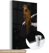 MuchoWow® Glasschilderij 20x30 cm - Schilderij acrylglas - Papegaai - Vogel - Goud - Foto op glas - Schilderijen