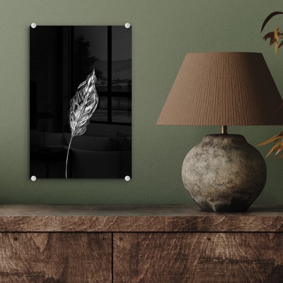 MuchoWow® Peinture sur Verre - Feuille fine sur fond noir - noir et blanc - 20x30 cm - Peintures sur Verre Acrylique - Photo sur Glas