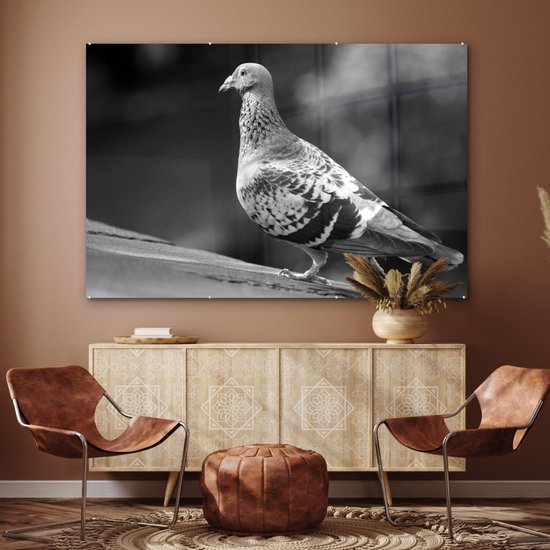 MuchoWow® Peinture sur Verre - Pigeon sur un toit - noir et blanc - 180x120 cm - Peintures sur Verre Acrylique - Photo sur Glas