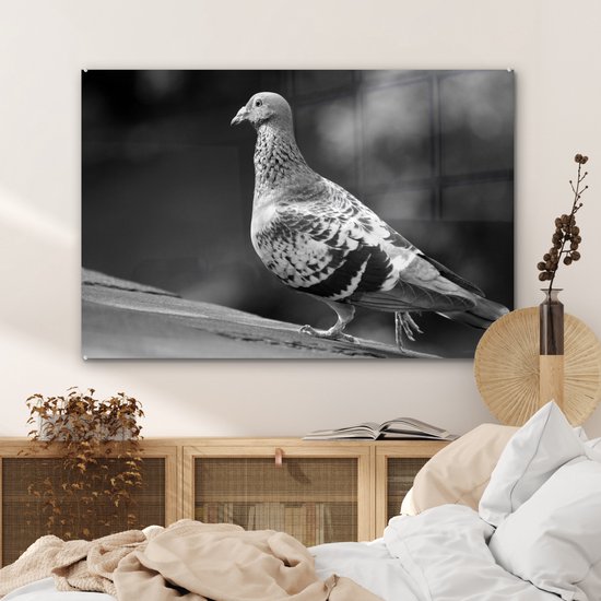 Peinture sur verre MuchoWow® - Pigeon voyageur sur un toit - noir et blanc - 120x80 cm - Peintures sur verre acrylique - Photo sur Glas