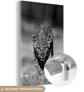 Peinture sur verre - un petit léopard - noir et blanc - 40x60 cm - Peintures sur Verre Peintures - Photo sur Glas