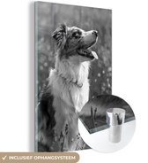 MuchoWow® Peinture sur verre 120x180 cm - Peinture sur verre acrylique - Gros plan d'un Border Collie dans l'herbe - noir et blanc - Photo sur verre - Peintures