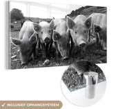 MuchoWow® Glasschilderij 120x60 cm - Schilderij acrylglas - Biggen op een rij - zwart wit - Foto op glas - Schilderijen