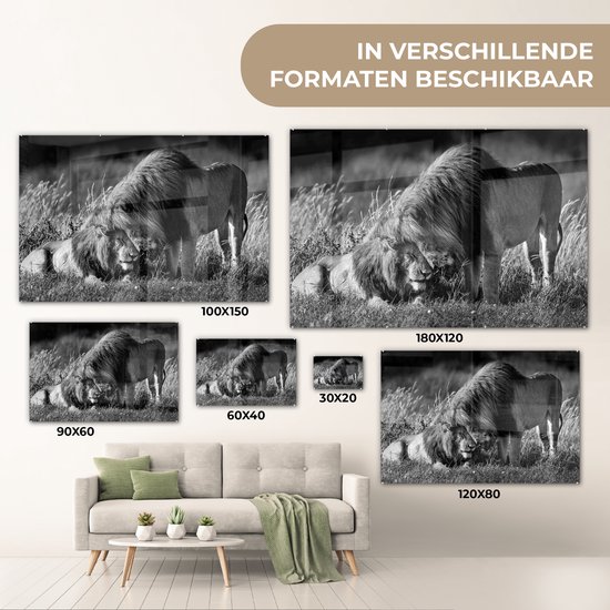 MuchoWow® Peinture sur Verre - Lions enlacés - noir et blanc - 180x120 cm - Peintures sur Verre Peintures - Photo sur Glas