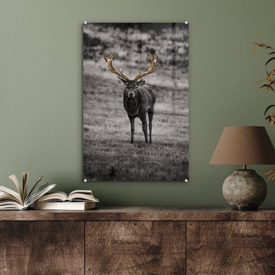 Peintures en plexiglas - Cerf - Or - Bois - 40x60 cm
