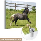 MuchoWow® Glasschilderij 120x80 cm - Schilderij acrylglas - Paarden - Gras - Hek - Foto op glas - Schilderijen