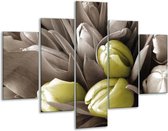 Peinture sur verre d'orchidée | Marron, vert, noir | 100x70cm 5Liège | Tirage photo sur verre |  F002755
