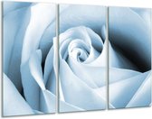 Peinture | Peinture sur toile Rose, Fleur | Bleu blanc | 120x80cm 3 Liège | Tirage photo sur toile