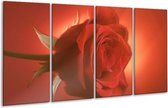 GroepArt - Glasschilderij - Roos - Rood, Oranje, Geel - 160x80cm 4Luik - Foto Op Glas - Geen Acrylglas Schilderij - 6000+ Glasschilderijen Collectie - Wanddecoratie