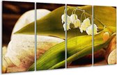 Peinture sur verre fleur | Vert, blanc, marron | 160x80cm 4 Liège | Tirage photo sur verre |  F004815