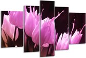 Glasschilderij Tulp - Roze, Zwart - 170x100cm 5Luik - Foto Op Glas - Geen Acrylglas Schilderij - 6000+ Glasschilderijen Collectie - Wanddecoratie
