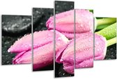 Glasschilderij Tulpen - Roze, Zwart - 170x100cm 5Luik - Foto Op Glas - Geen Acrylglas Schilderij - 6000+ Glasschilderijen Collectie - Wanddecoratie