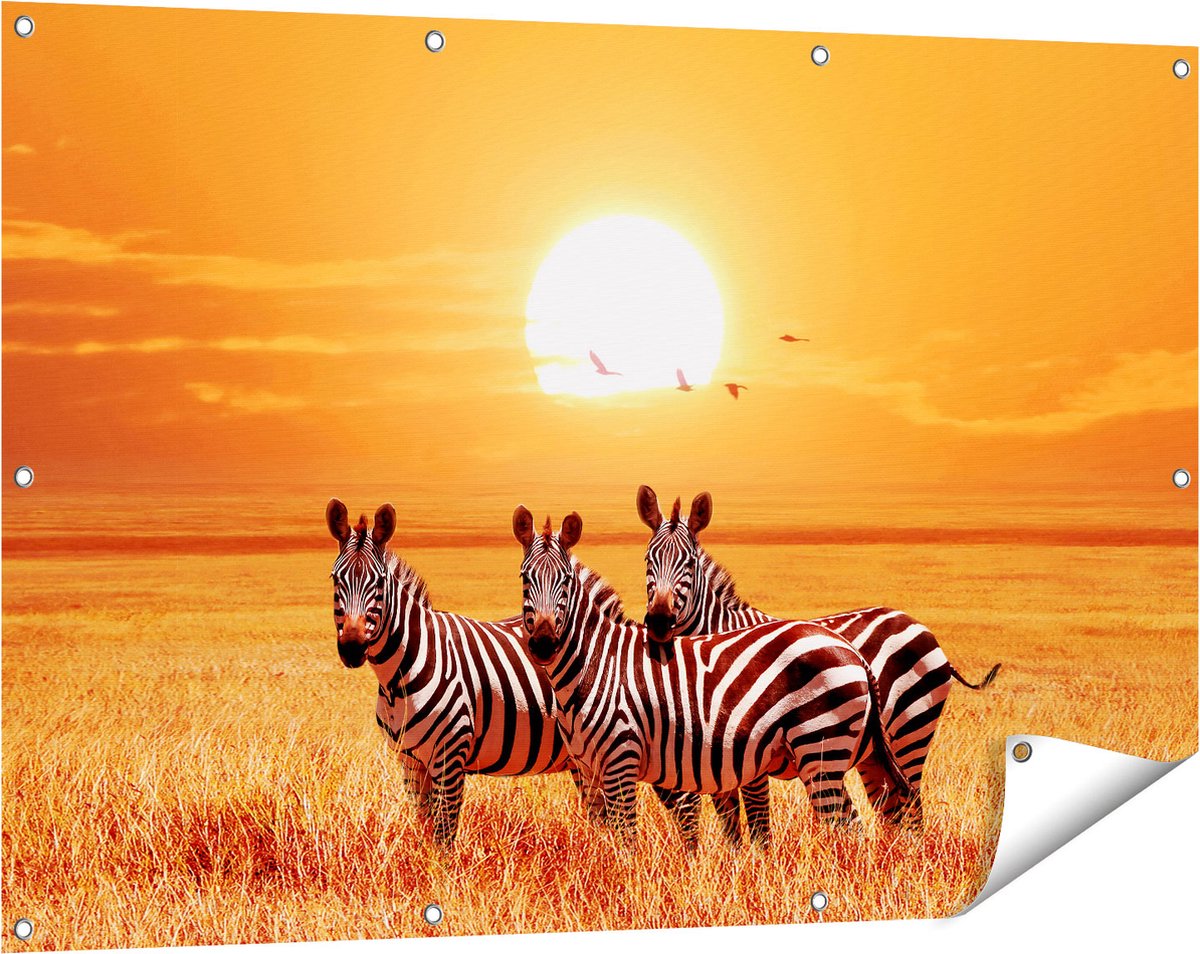 Gards Tuinposter Drie Zebra's bij Zonsondergang - 120x80 cm - Tuindoek - Tuindecoratie - Wanddecoratie buiten - Tuinschilderij Multikleur