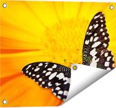 Gards Tuinposter Vlinder op een Oranje Bloem - 50x40 cm - Tuindoek - Tuindecoratie - Wanddecoratie buiten - Tuinschilderij