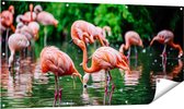 Gards Tuinposter Kudde Flamingo's in de Jungle in het Water - 140x70 cm - Tuindoek - Tuindecoratie - Wanddecoratie buiten - Tuinschilderij