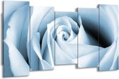 GroepArt - Canvas Schilderij - Roos, Bloem - Blauw, Wit - 150x80cm 5Luik- Groot Collectie Schilderijen Op Canvas En Wanddecoraties