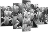 Glasschilderij Tulpen, Bloemen - Zwart, Grijs - 170x100cm 5Luik - Foto Op Glas - Geen Acrylglas Schilderij - 6000+ Glasschilderijen Collectie - Wanddecoratie
