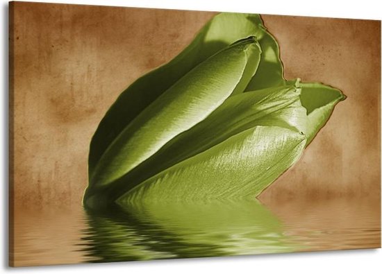 Peinture sur toile Tulipes | Vert, marron | 140x90cm 1 Liège