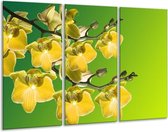 GroepArt - Schilderij -  Orchidee - Geel, Groen, Wit - 120x80cm 3Luik - 6000+ Schilderijen 0p Canvas Art Collectie