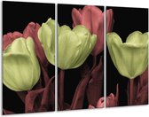 GroepArt - Schilderij -  Tulp - Geel, Rood, Zwart - 120x80cm 3Luik - 6000+ Schilderijen 0p Canvas Art Collectie