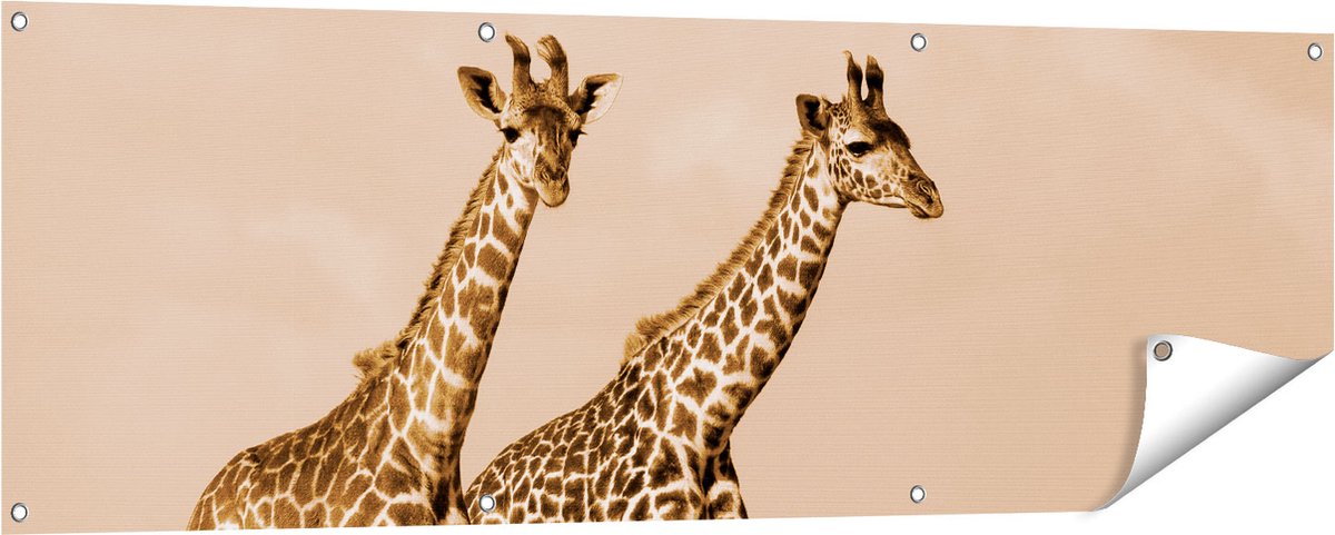 Gards Tuinposter Twee Giraffes in het Veld - 150x50 cm - Tuindoek - Tuindecoratie - Wanddecoratie buiten - Tuinschilderij Multikleur