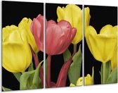 Glasschilderij Tulpen - Roze, Geel, Groen - 120x80cm 3Luik - Foto Op Glas - Geen Acrylglas Schilderij - GroepArt 6000+ Glas Art Collectie - Maatwerk Mogelijk