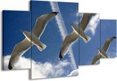 GroepArt - Schilderij -  Vogels - Blauw, Zwart - 160x90cm 4Luik - Schilderij Op Canvas - Foto Op Canvas