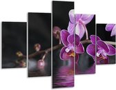 Glasschilderij -  Orchidee - Paars, Zwart, Wit - 100x70cm 5Luik - Geen Acrylglas Schilderij - GroepArt 6000+ Glasschilderijen Collectie - Wanddecoratie- Foto Op Glas