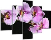 Glasschilderij -  Orchidee - Zwart, Paars, Wit - 100x70cm 5Luik - Geen Acrylglas Schilderij - GroepArt 6000+ Glasschilderijen Collectie - Wanddecoratie- Foto Op Glas