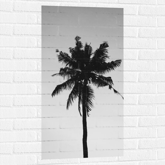 Muursticker - Palmboom in het Zwart Wit - 50x100 cm Foto op Muursticker