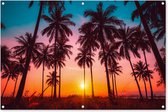Tuinposter palmbomen - Zonsondergang - Tropisch - Nacht - Natuur - Strand - Tuindoek - Tuinschilderij voor buiten - Schutting decoratie - 120x80 cm - Tuindecoratie - Tuin - Schuttingdoek