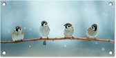 Tuinposter vogels - Mus - Dieren - Sneeuw - Natuur - Winter - Schutting decoratie - Tuin - Schuttingdoek - 60x30 cm - Tuindoek - Tuindecoratie - Tuinschilderij voor buiten - Buitenposter