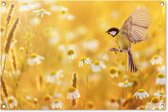 Tuinposter vogels - Bloemen - Margriet - Zomer - Natuur - Geel - Tuin - Tuindecoratie - Tuinschilderij voor buiten - Schuttingdoek - 90x60 cm - Schutting decoratie - Tuindoek - Tuinposters