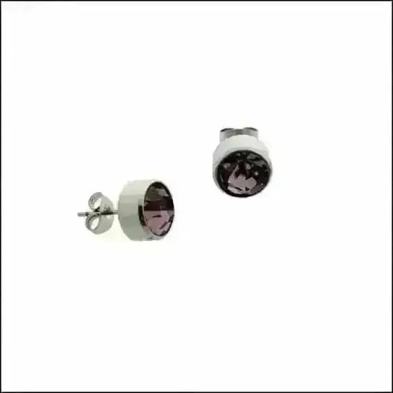 Aramat jewels ® - Zweerknopjes geboortesteen oorbellen februari paars chirurgisch staal 5mm