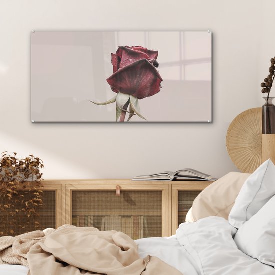 MuchoWow® Peinture sur verre 80x40 cm - Peinture sur verre acrylique - Fleurs - Rouge - Roses - Vert - Photo sur verre - Peintures