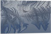 Acrylglas - Bevroren Vogel Veren - 75x50 cm Foto op Acrylglas (Wanddecoratie op Acrylaat)