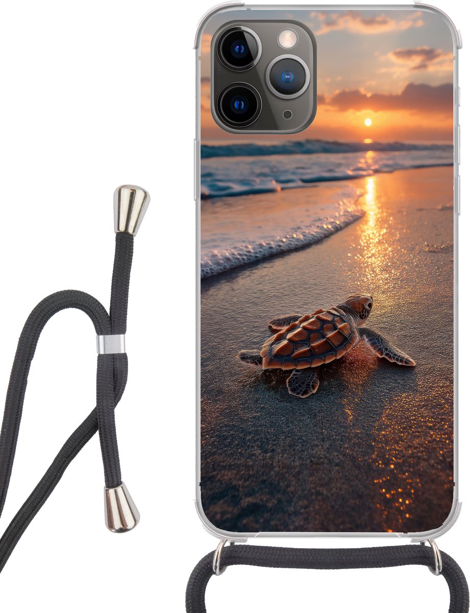 Schildpad - strand - Zonsondergang