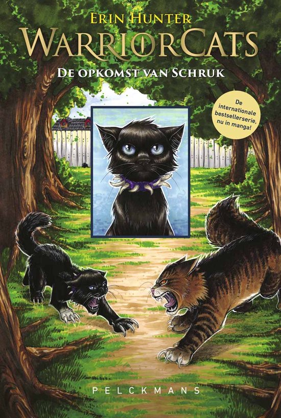 Warrior Cats – De opkomst van Schruk
