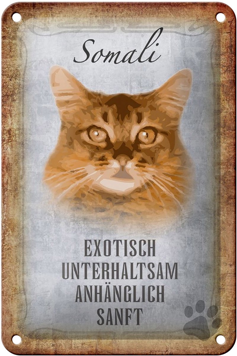 Blechschild Spruch 12x18cm Somali Katze Schild deko
