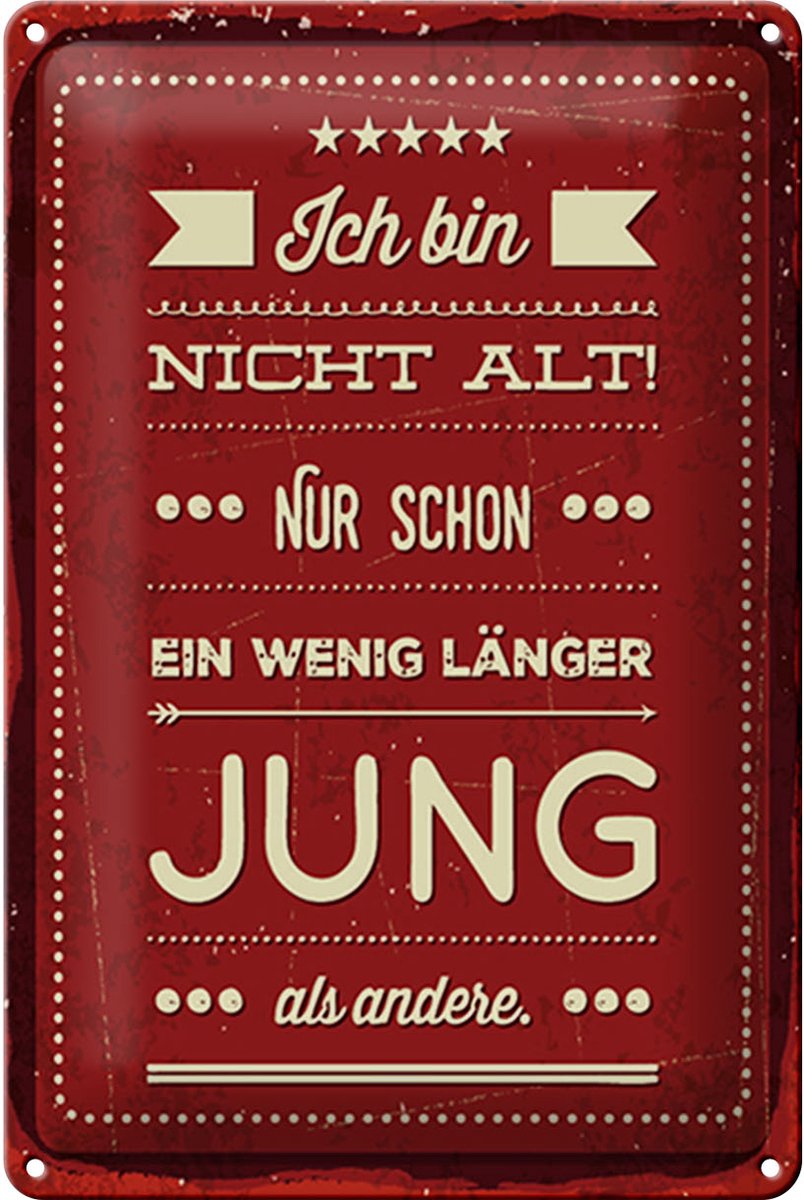 Blechschild Spruch 12x18 cm Ich bin nicht alt Schild