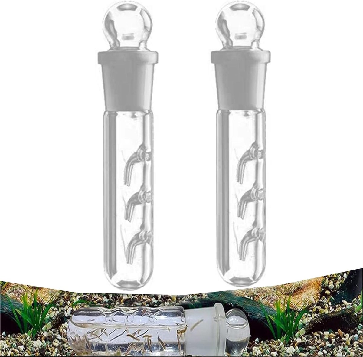 Glas- Planaria val - Visbenodigdheden - Transparant - Garnalen - Wormenvanger - Aquariumaccessoire - Voor Zoetwater - Heldere Glasuitvoering met Drie Gaten - Geschikt voor Kersen Garnalen.