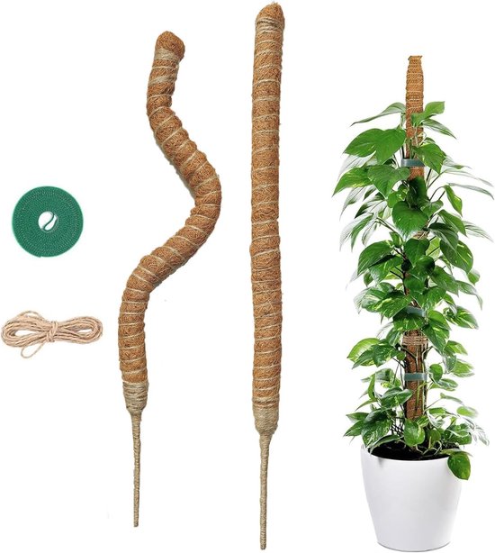 Foto: 2 stuks mosstok 60cm mosstok voor planten plantensteun mosstok verlengbaar plantenstok klimhulp voor monstera plantenstok mosstock monstera plantenrek buiten voor monstera en andere planten
