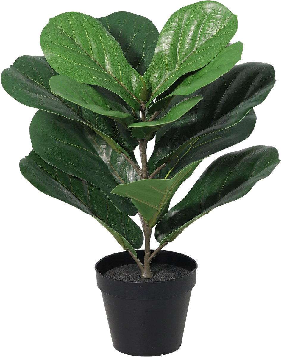 Florafy Kunstplant Ficus Lyrata 40cm - Kunstplanten voor binnen - Onderhoudsvrij Groen