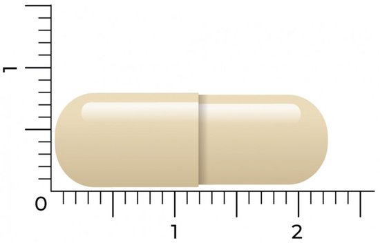 Een crème-kleurige capsule met een liniaal, 1,5 cm lang.