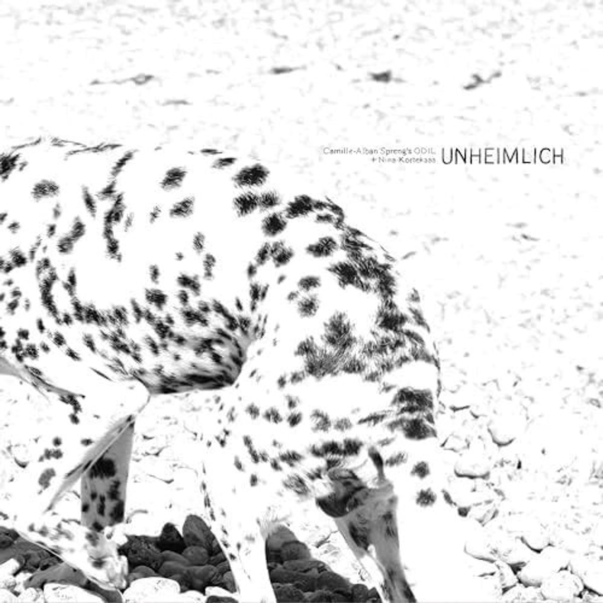 Camille-Alban Spreng's Odil Feat. Nina Kortekaas - Unheimlich (LP)