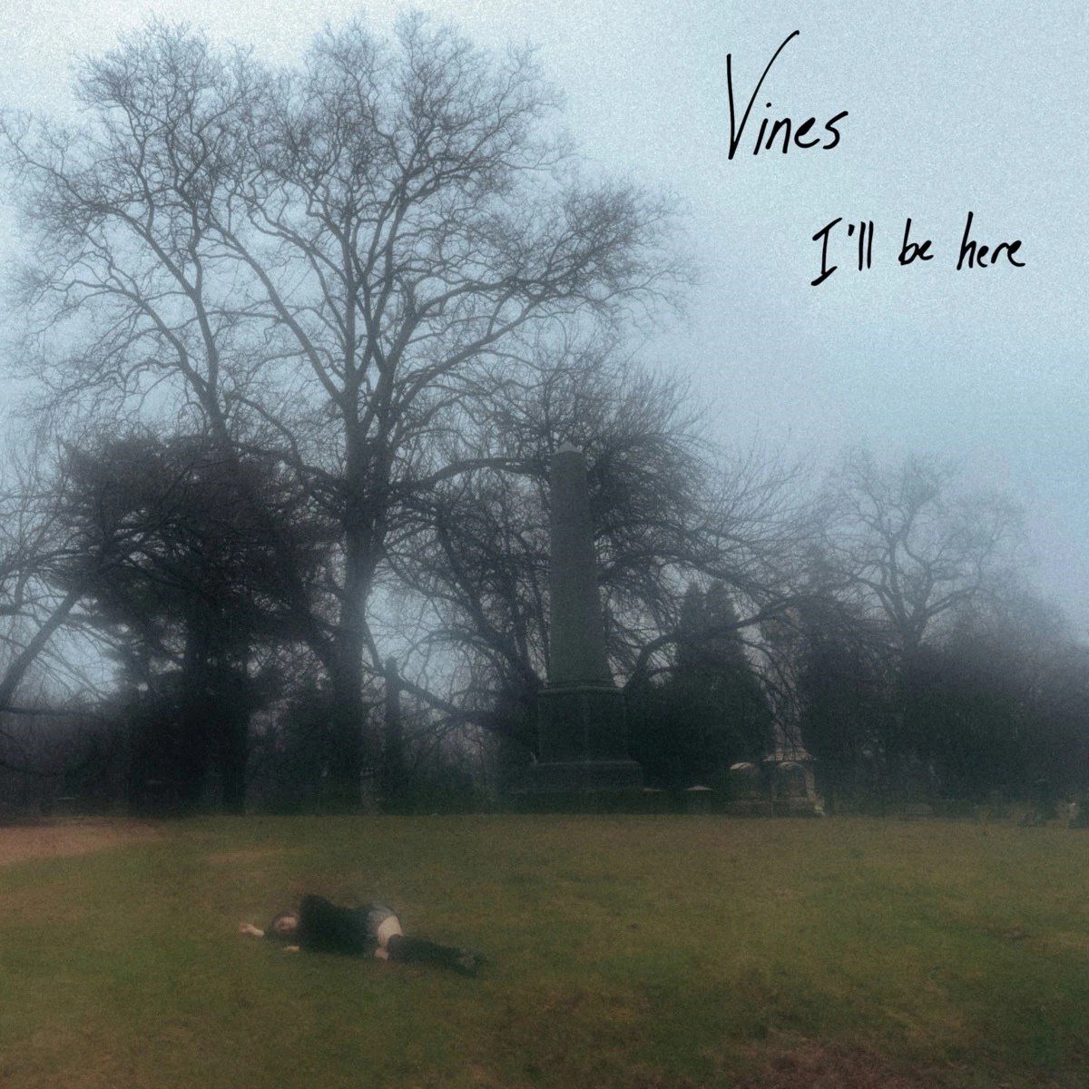 Vines - I'll Be Here (LP) (Coloured Vinyl)