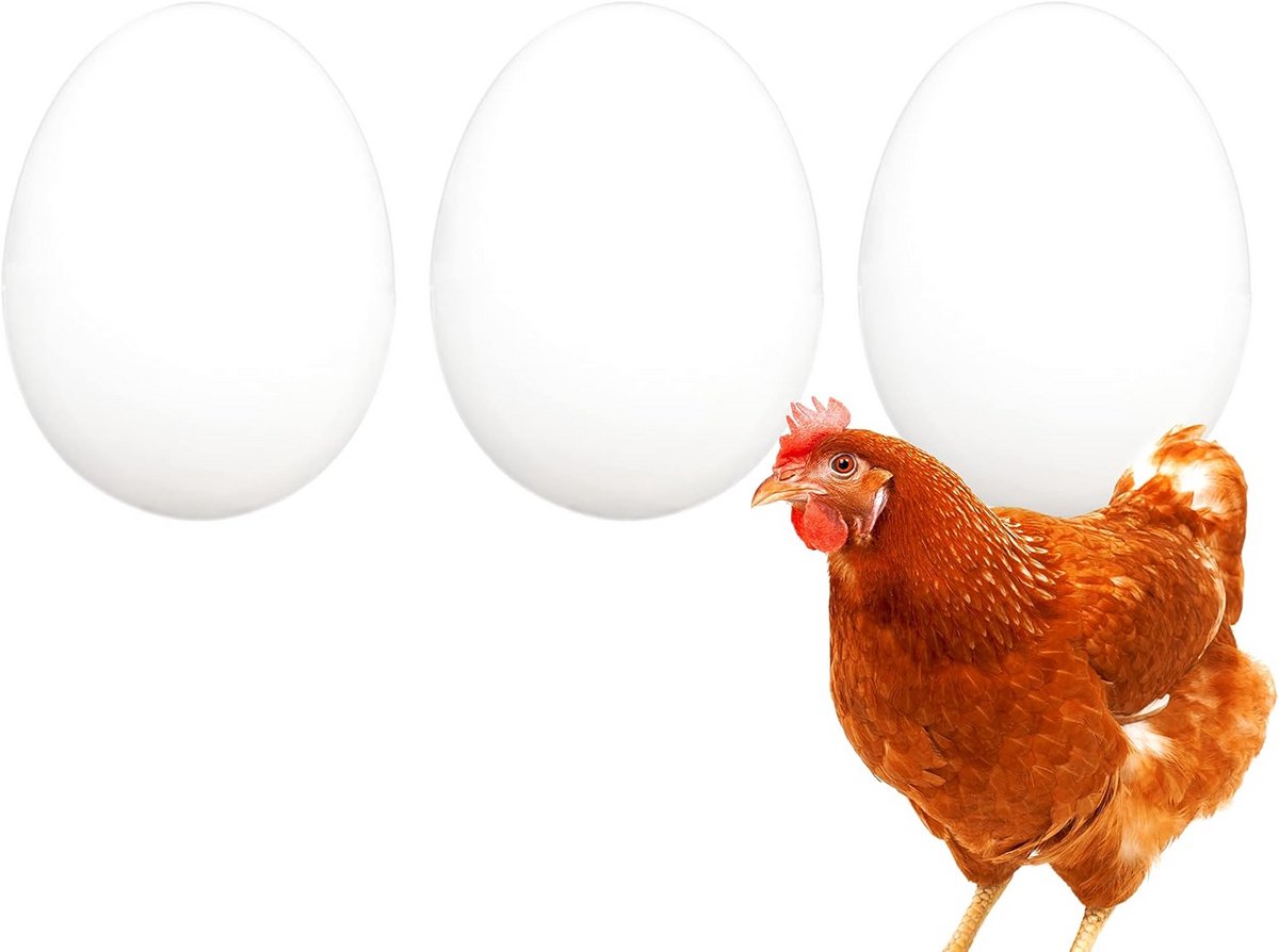 Set van 3 Dummy Kippeneieren - Witte Stevige Eieren voor Nesttraining