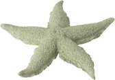 Een grote muntgroene decoratieve zeester.